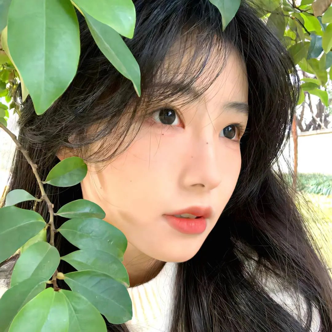 粉黛迷春