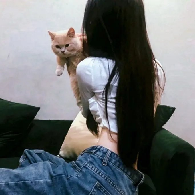 前妻回家